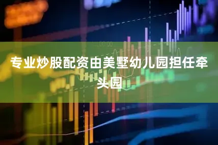 专业炒股配资由美墅幼儿园担任牵头园