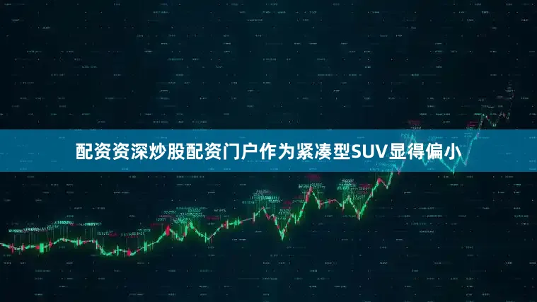 配资资深炒股配资门户作为紧凑型SUV显得偏小