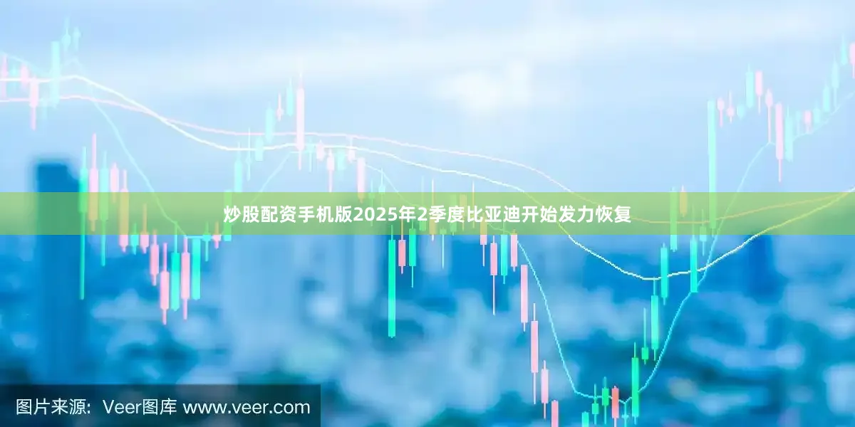 炒股配资手机版2025年2季度比亚迪开始发力恢复