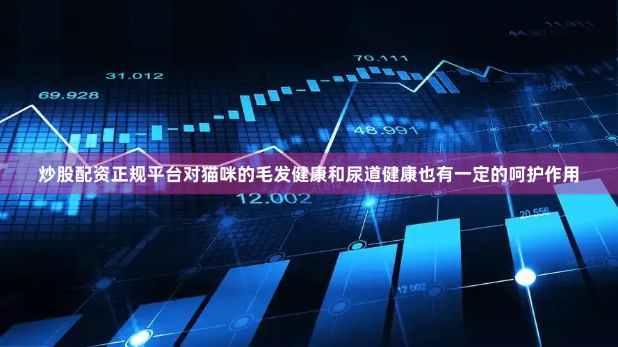 炒股配资正规平台对猫咪的毛发健康和尿道健康也有一定的呵护作用