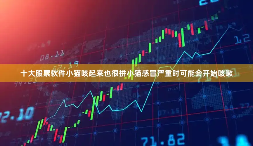 十大股票软件小猫咳起来也很拼小猫感冒严重时可能会开始咳嗽