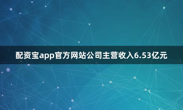 配资宝app官方网站公司主营收入6.53亿元