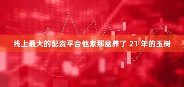线上最大的配资平台他家那盆养了 21 年的玉树